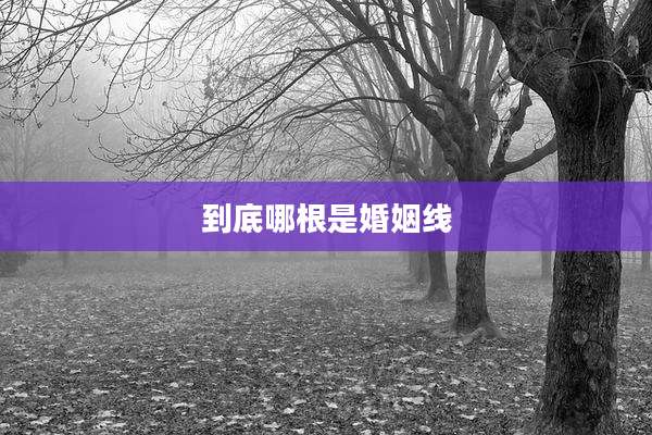 到底哪根是婚姻线