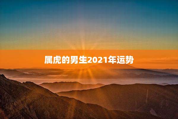 属虎的男生2021年运势