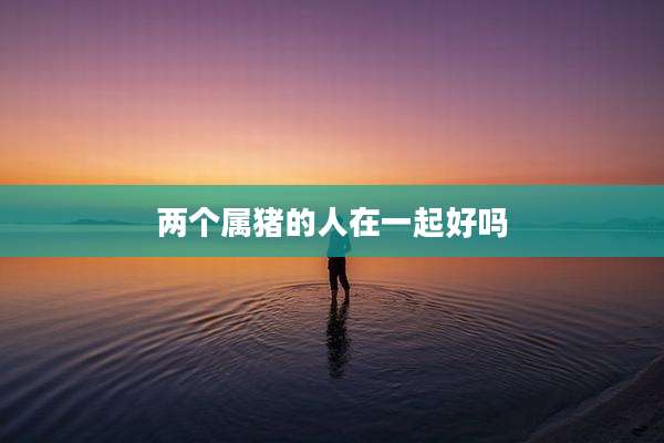 两个属猪的人在一起好吗