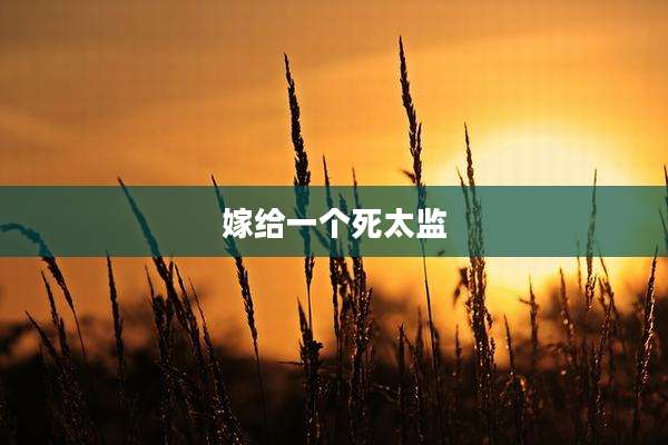 嫁给一个死太监
