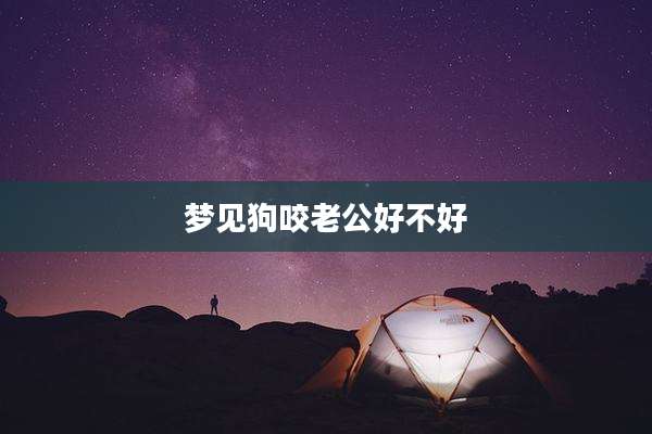 梦见狗咬老公好不好