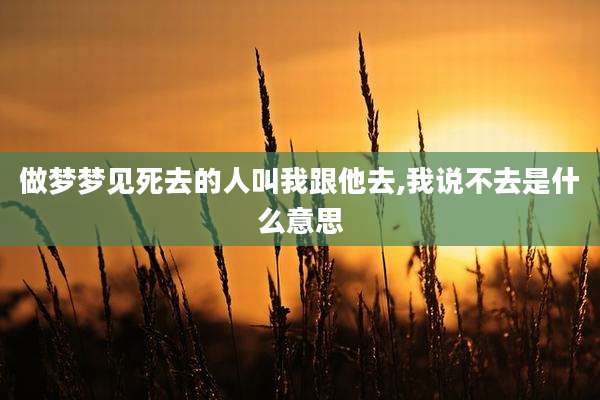 做梦梦见死去的人叫我跟他去,我说不去是什么意思
