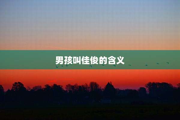 男孩叫佳俊的含义