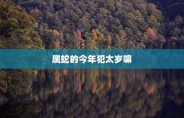 属蛇的今年犯太岁嘛
