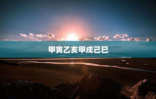 甲寅乙亥甲戌己巳