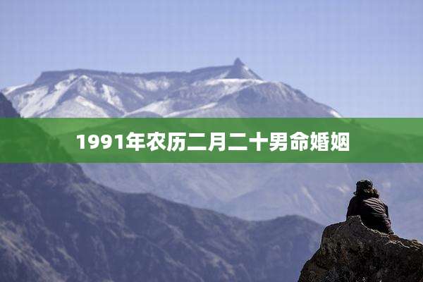 1991年农历二月二十男命婚姻