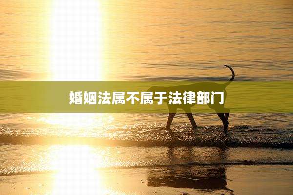 婚姻法属不属于法律部门