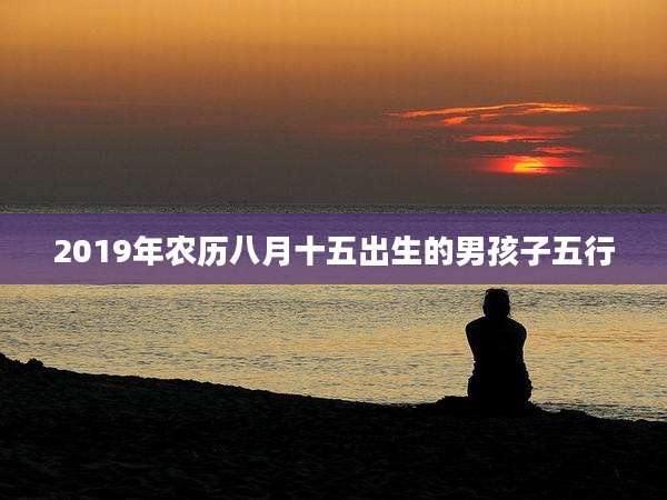 2019年农历八月十五出生的男孩子五行