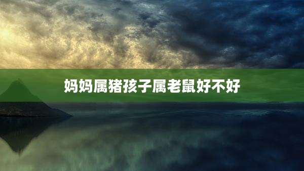 妈妈属猪孩子属老鼠好不好