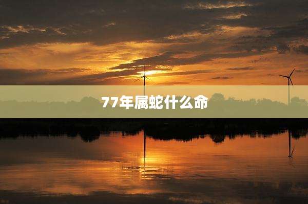 77年属蛇什么命