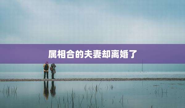 属相合的夫妻却离婚了