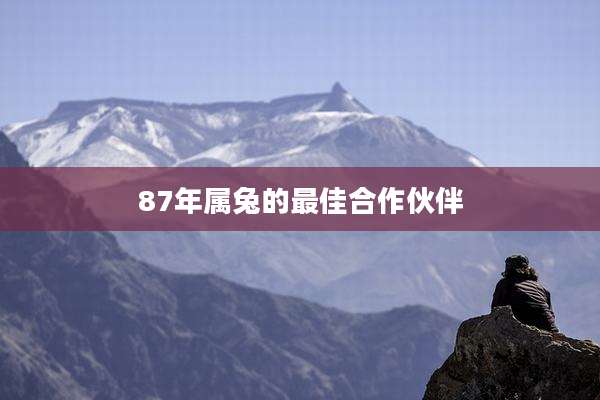 87年属兔的最佳合作伙伴