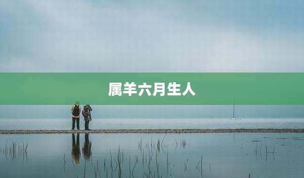 属羊六月生人