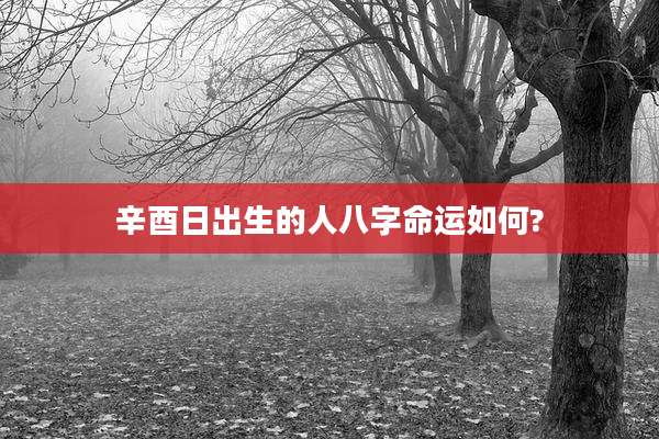 辛酉日出生的人八字命运如何?