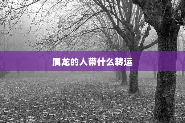 属龙的人带什么转运