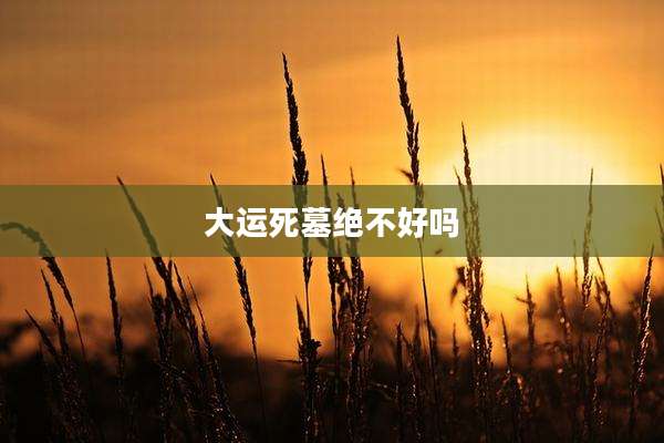大运死墓绝不好吗
