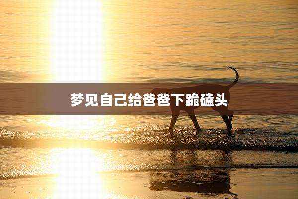 梦见自己给爸爸下跪磕头