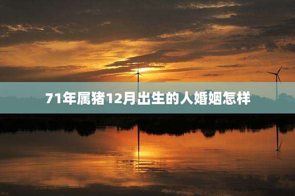 71年属猪12月出生的人婚姻怎样