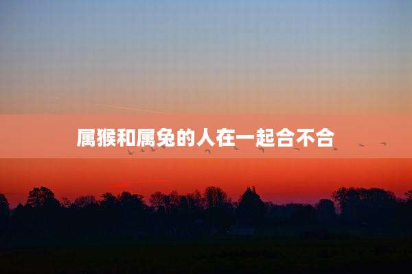属猴和属兔的人在一起合不合