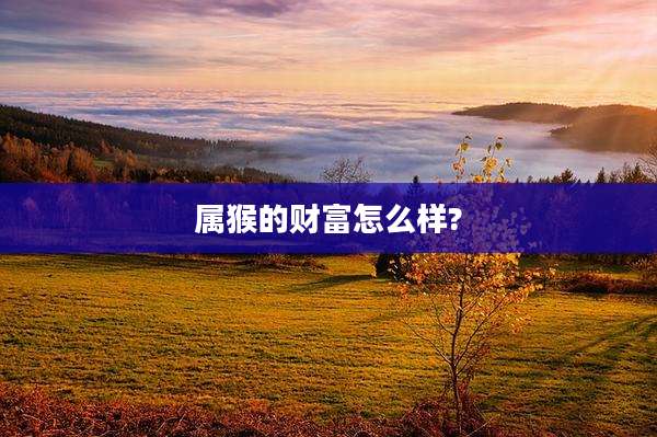 属猴的财富怎么样?
