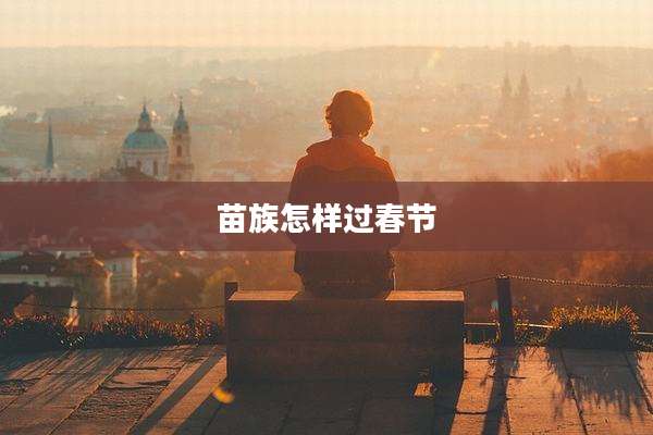 苗族怎样过春节