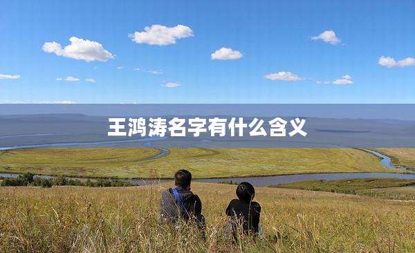王鸿涛名字有什么含义