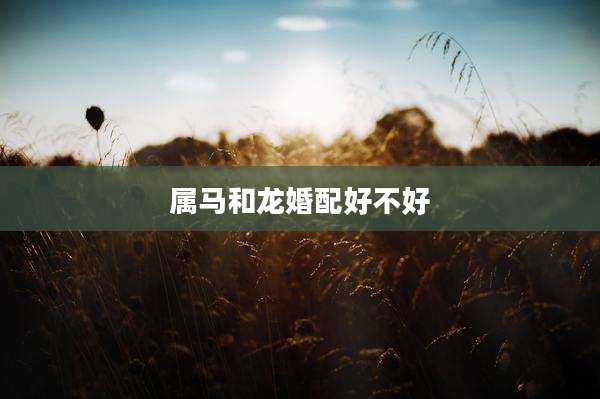 属马和龙婚配好不好