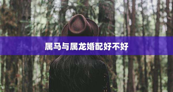 属马与属龙婚配好不好