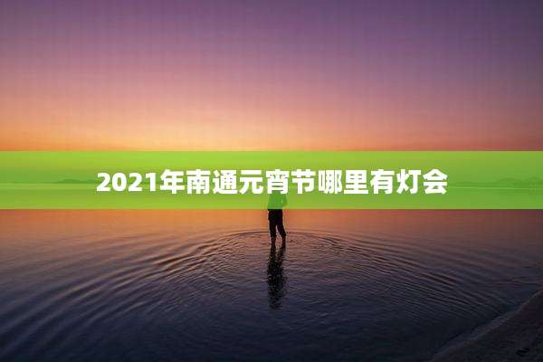 2021年南通元宵节哪里有灯会