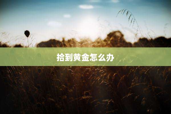 拾到黄金怎么办
