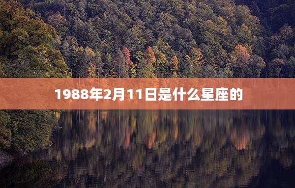 1988年2月11日是什么星座的