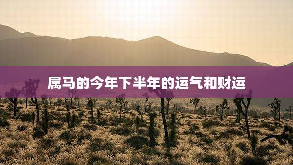 属马的今年下半年的运气和财运