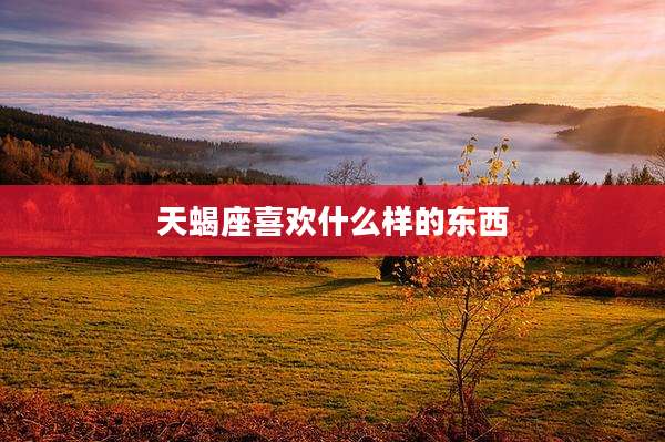 天蝎座喜欢什么样的东西