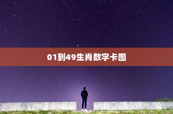 01到49生肖数字卡图