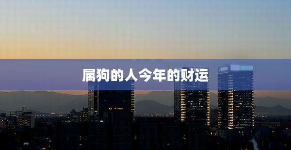 属狗的人今年的财运