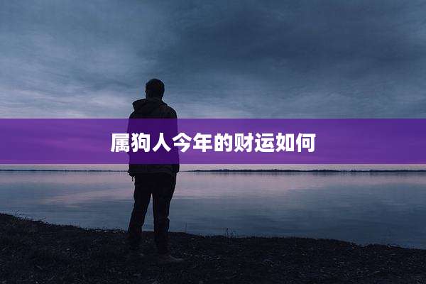 属狗人今年的财运如何