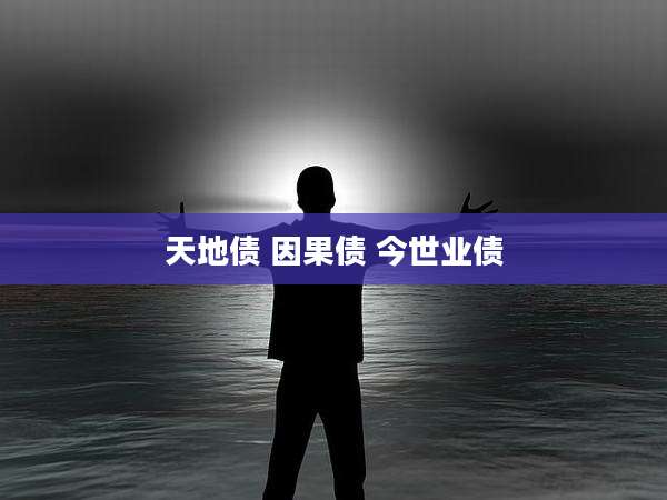 天地债 因果债 今世业债