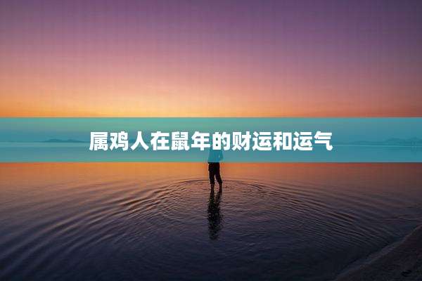 属鸡人在鼠年的财运和运气