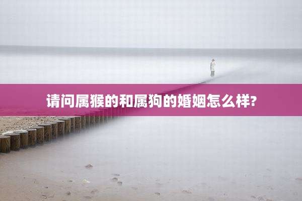 请问属猴的和属狗的婚姻怎么样?