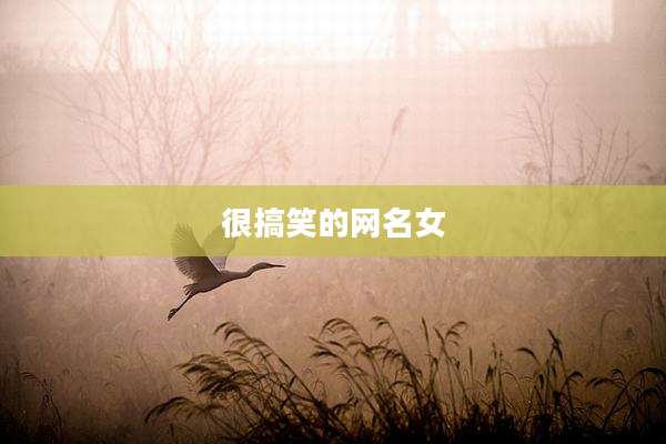 很搞笑的网名女