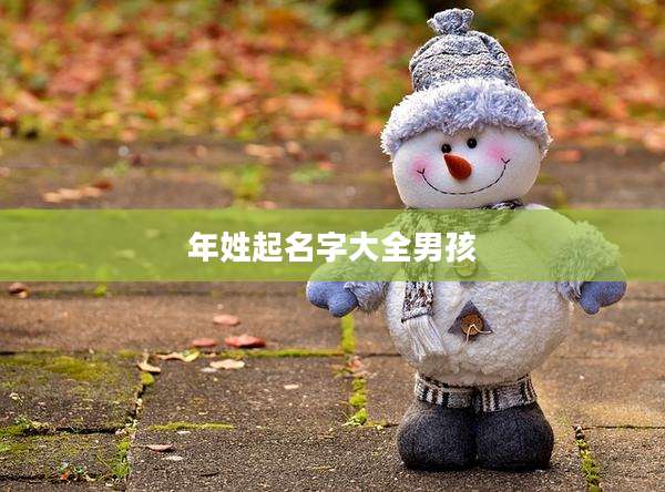 年姓起名字大全男孩