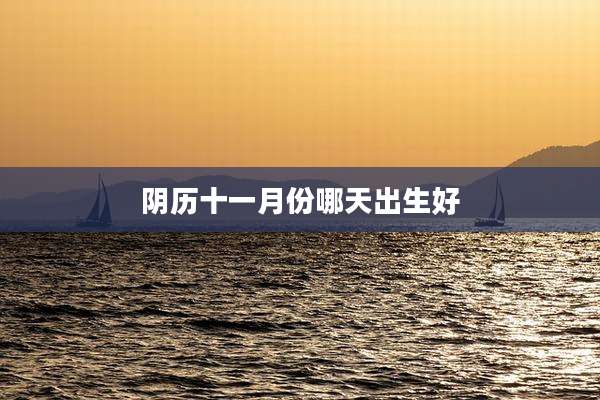 阴历十一月份哪天出生好