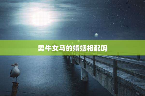 男牛女马的婚姻相配吗