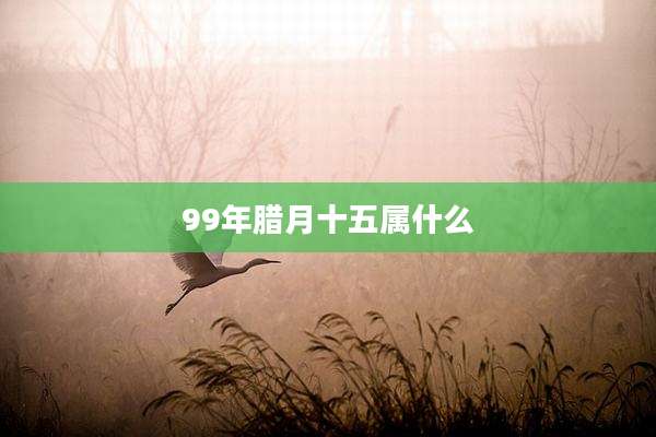 99年腊月十五属什么