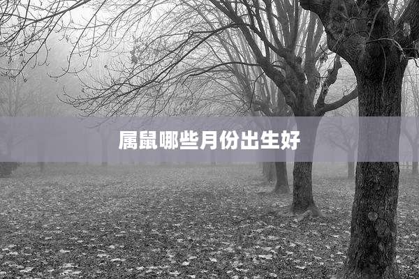 属鼠哪些月份出生好