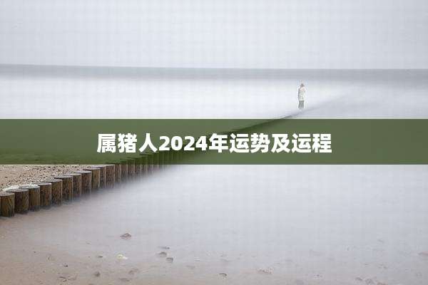 属猪人2024年运势及运程
