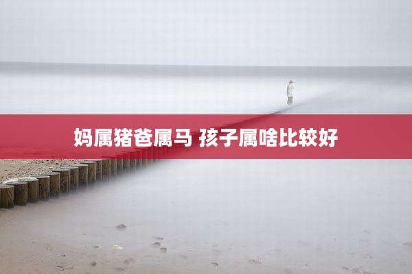 妈属猪爸属马 孩子属啥比较好