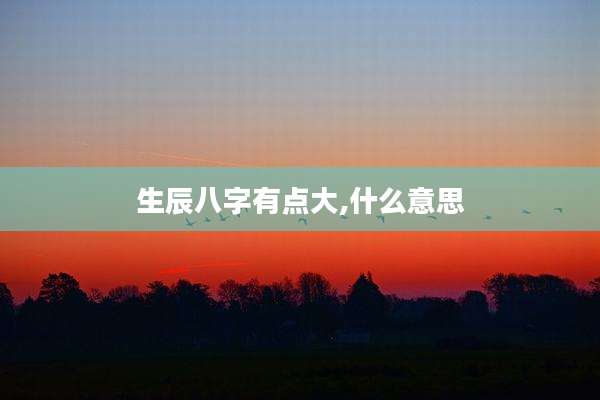 生辰八字有点大,什么意思