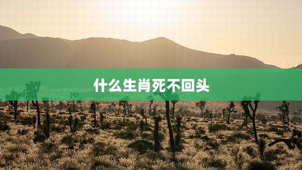 什么生肖死不回头