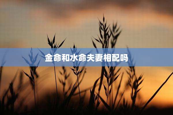 金命和水命夫妻相配吗